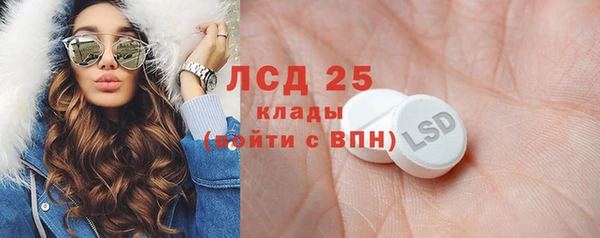 шишки Гусь-Хрустальный
