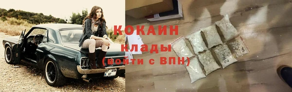 шишки Гусь-Хрустальный