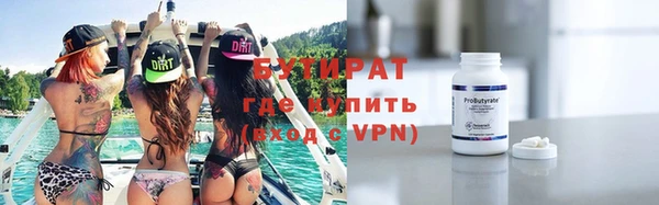 индика Гусиноозёрск