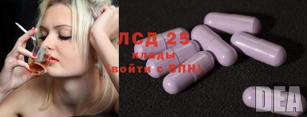 индика Гусиноозёрск