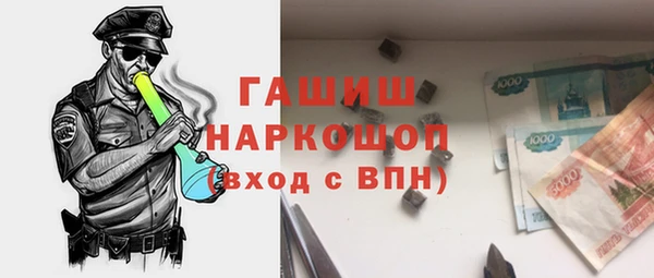 индика Гусиноозёрск