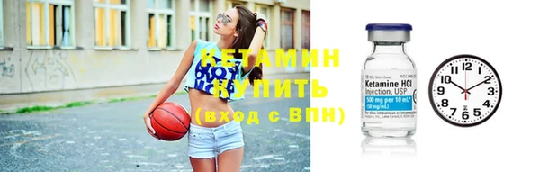 шишки Гусь-Хрустальный