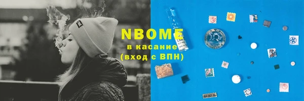 индика Гусиноозёрск