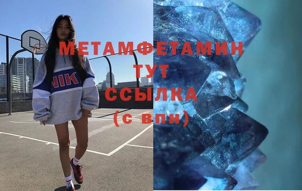 шишки Гусь-Хрустальный