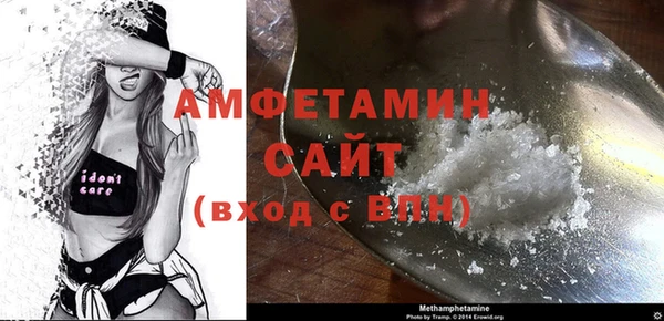 индика Гусиноозёрск
