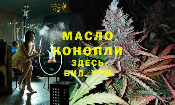 индика Гусиноозёрск