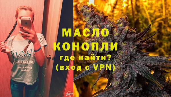 шишки Гусь-Хрустальный