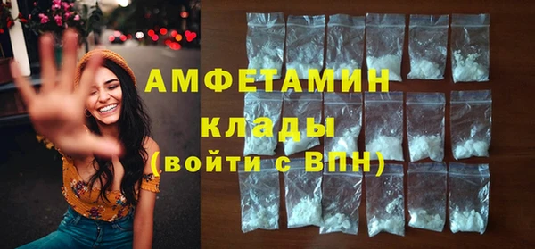 шишки Гусь-Хрустальный