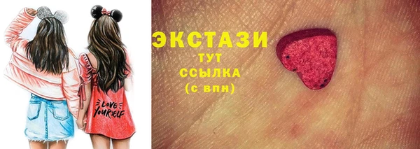индика Гусиноозёрск