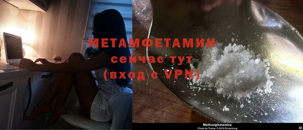 шишки Гусь-Хрустальный