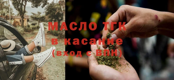 индика Гусиноозёрск